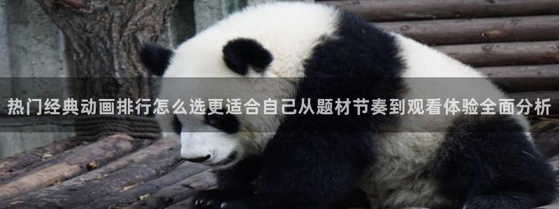 免费韩漫漫画大全：热门经典动画排行怎么选更适合自己从题材节奏到观看体验全面分析配图