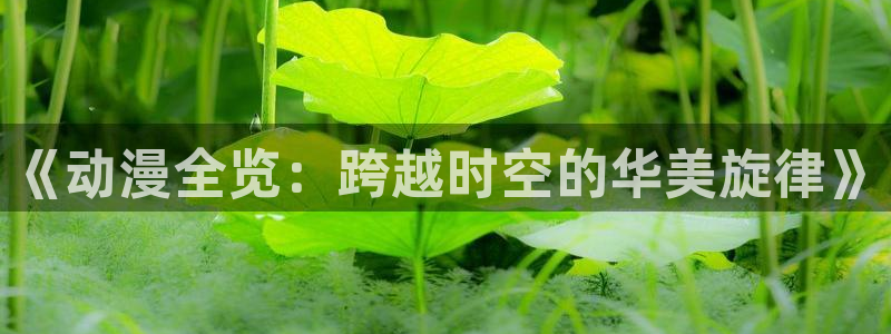 韩漫免费漫画大全：《动漫全览：跨越时空的华美旋律》配图