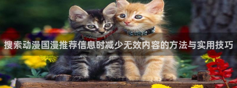 韩漫免费漫画阅读:搜索动漫国漫推荐信息时减少无效内容的方法与实用技巧配图