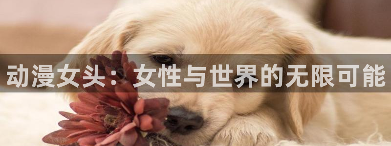 韩漫漫画哪里看:动漫女头:女性与世界的无限可能配图